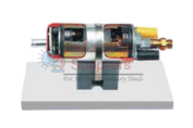 Electrically Controlled Fuel Pump Anatomical Model